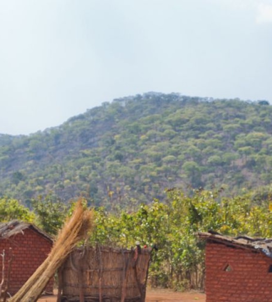 African landscape