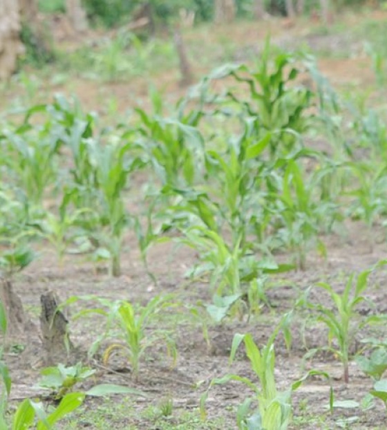 Impact of our Work