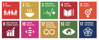 SDG